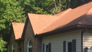 Roof Cleaning Service