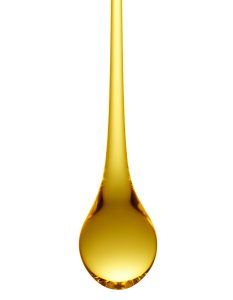 CBD Oil